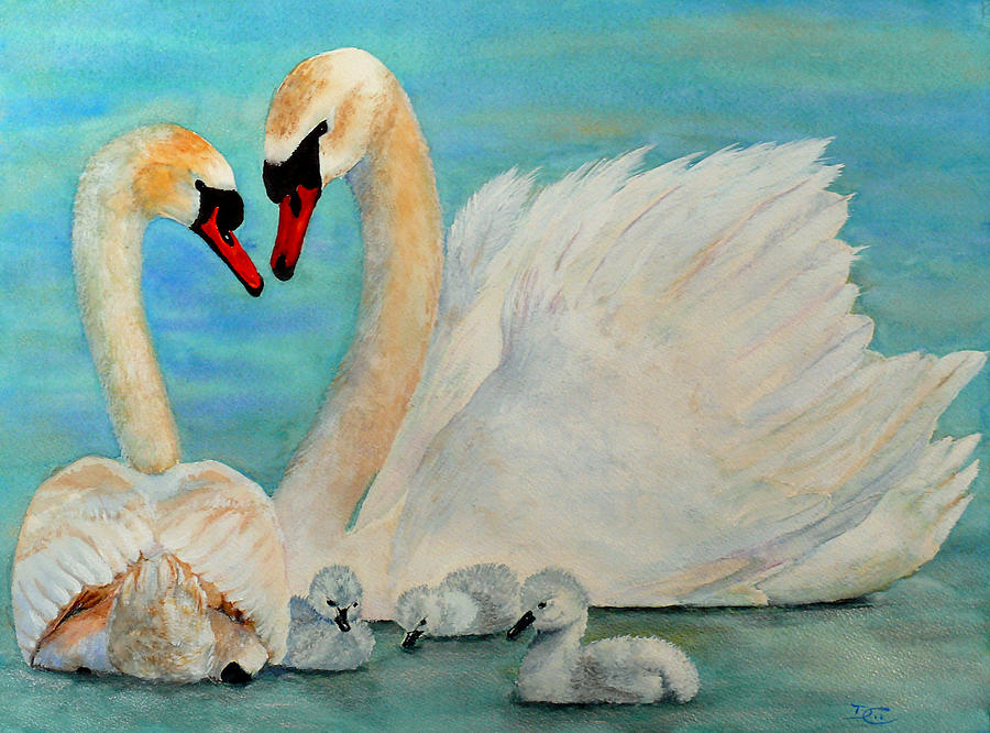 Mute Swan Family Painting by Dee Carpenter