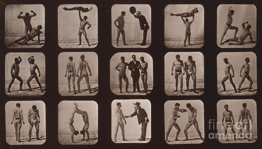 Muybridge Locomotion, Athletes Photograph by Photo Researchers
