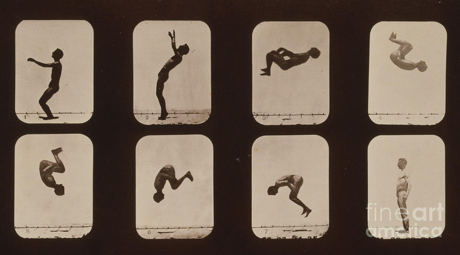 Eadweard Muybridge Photograph - Muybridge Locomotion, Back Somersault by Photo Researchers