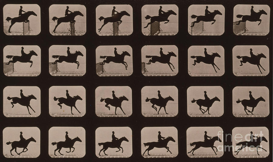 Muybridge Locomotion Horse Leaping Photograph by Photo Researchers