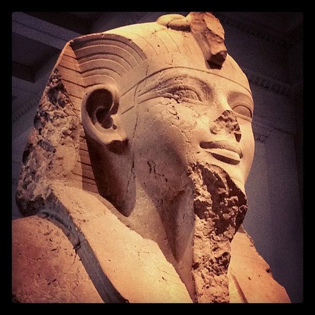 My Ancient Egyptian Statue Of Amenhotep Photograph by Sue Denym