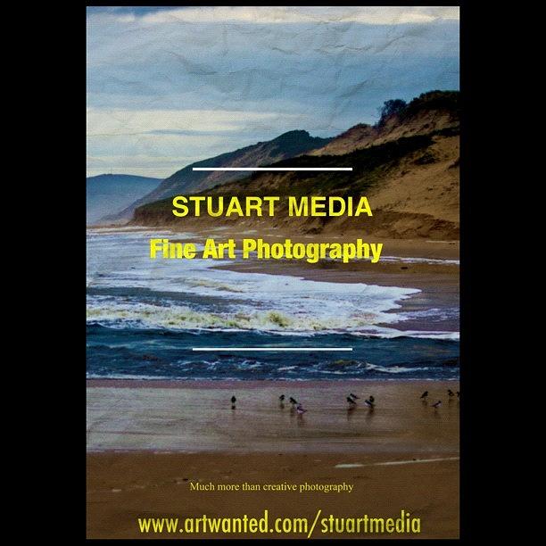 My Artist Website Photograph by Blair Stuart