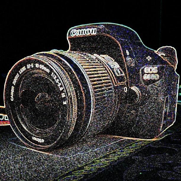 Beautiful Photograph - My Beloved #canon #600d by Ben Armstrong