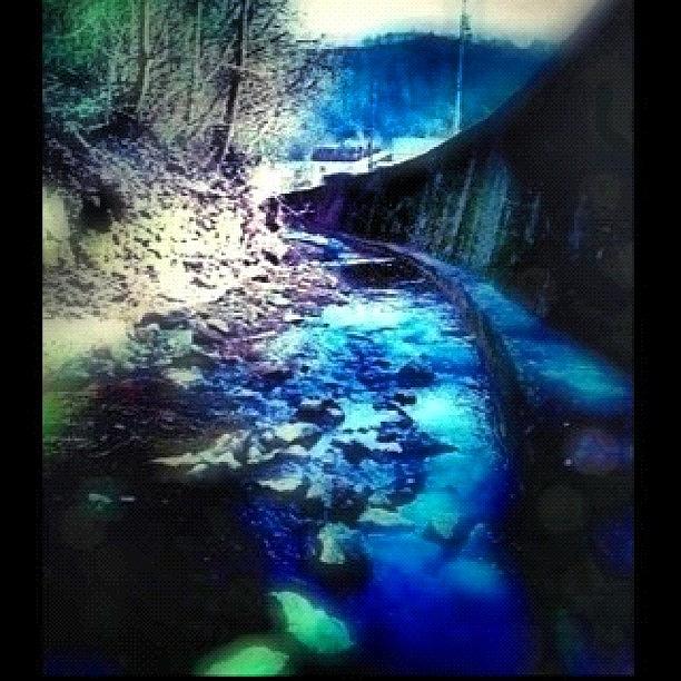 Magic Photograph - my Childhood Amazon #creek #water by Carrie Mroczkowski