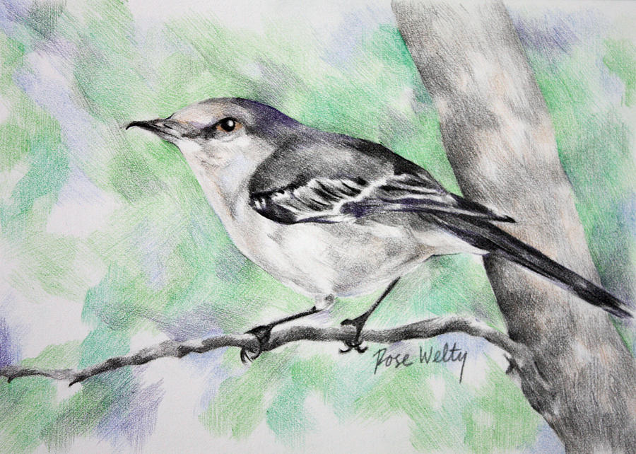 Nature Drawing - My Closest Neighbor by Rose Welty