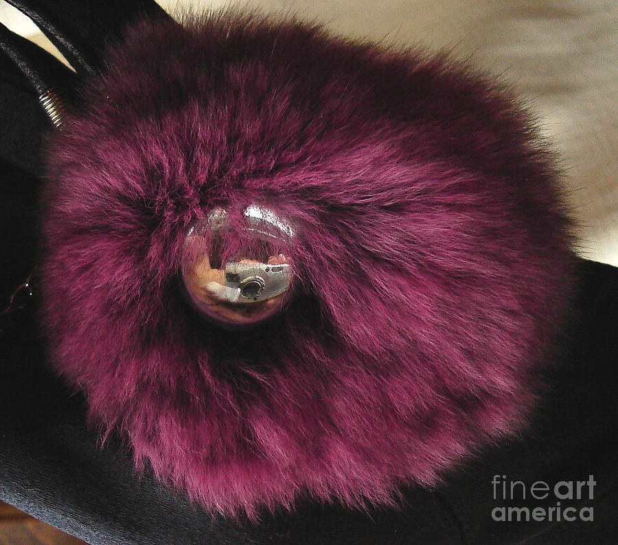 Fur Photograph - My Craft Reflects Me. by Jozy Me