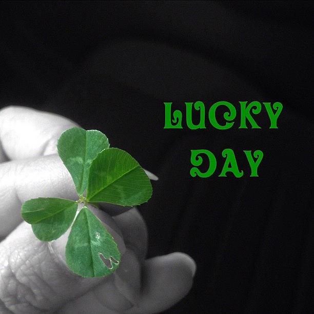 Clover Photograph - My Daughter Found A Four Leaf #clover by Cindy Ho