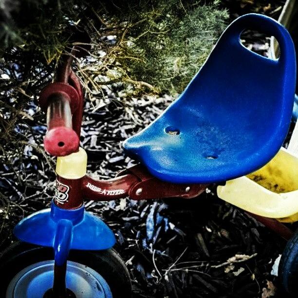 Nature Photograph - My Daughters Abandoned Bike. She Grew by Becca Watters