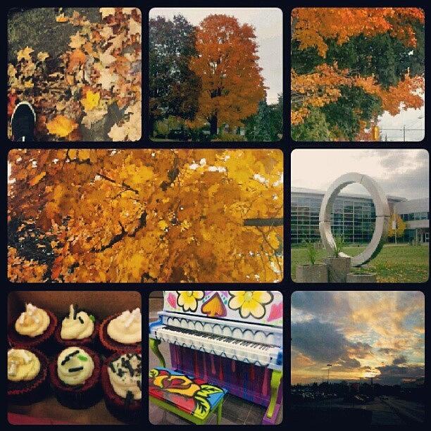 Fall Photograph - My Fall Day #durhamcraftshow by Tara Hebbes