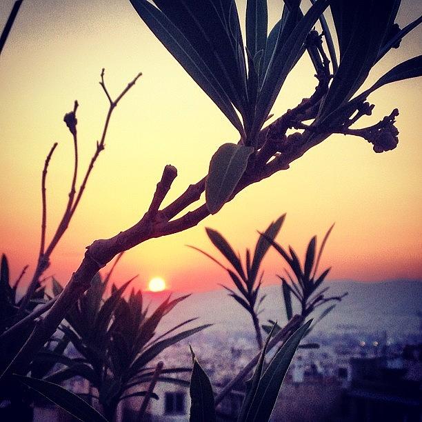 My First European Sunset In Athens Xx Photograph by Ellie Susko