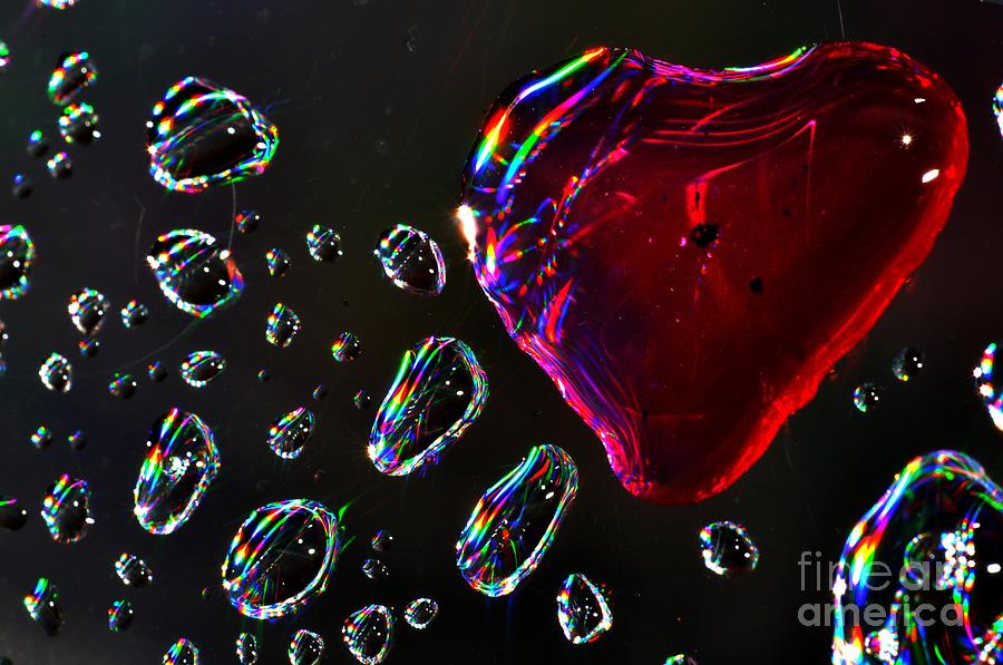 My Heart Photograph by Sylvie Leandre