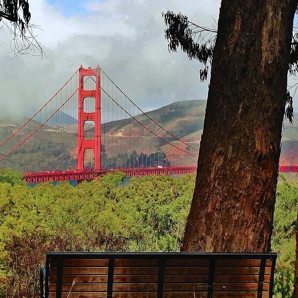 Golden Gate Bridge Photograph - My Hiding Place To Catch A Glimpse Of by Karen Winokan