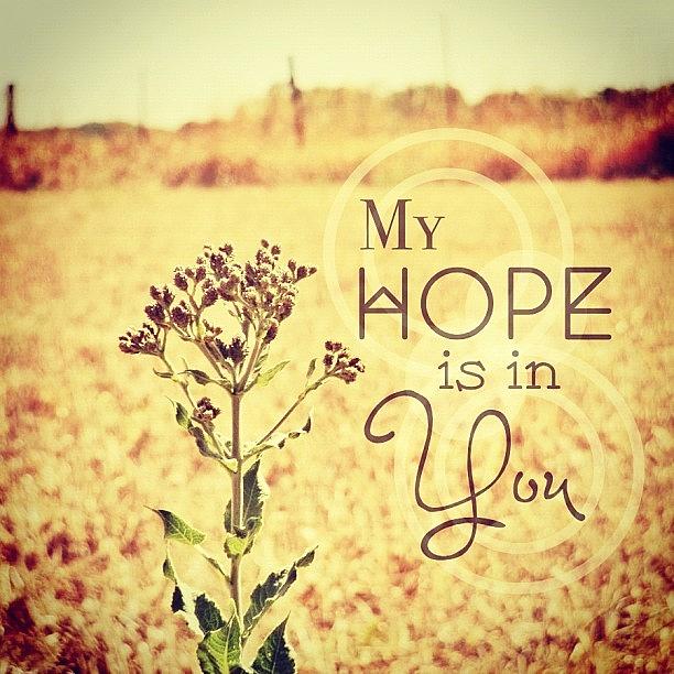 Nature Photograph - My Hope Is In You. Psalm 39:7💜 by Traci Beeson