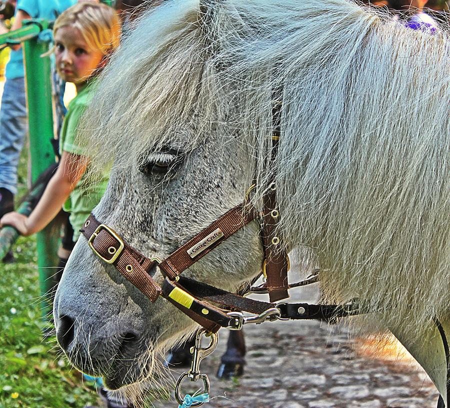 My Little Pony Photograph by Lauren Serene