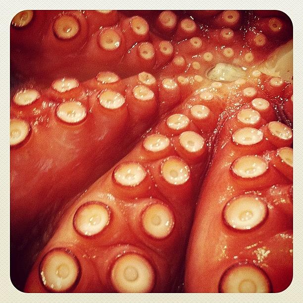 Octopus Photograph - My Love For Seafood. #food #seafood by Gabriel Kang