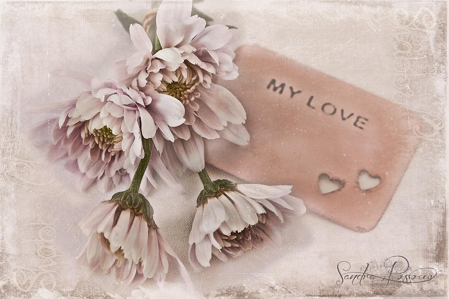 Flower Photograph - My Love by Sandra Rossouw