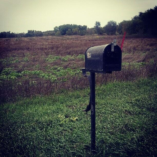 My Mailbox Looks A Little Out Of Place Photograph by Stephen Cooper