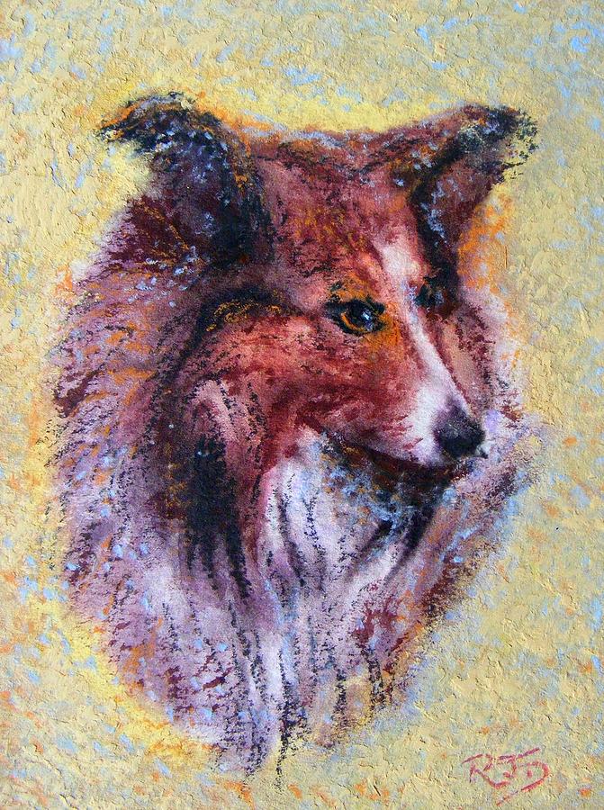 My Pal Shelty Painting by Richard James Digance