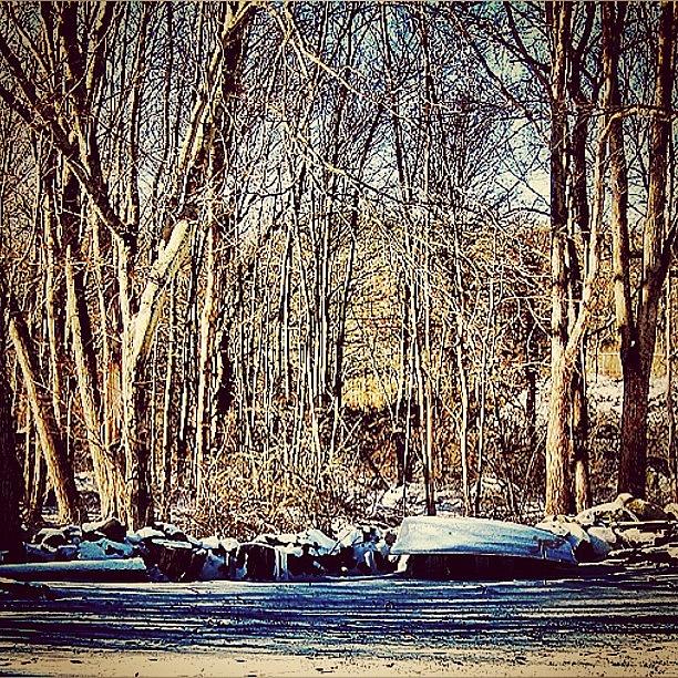 My Parents Woods In Winter... Love Photograph by Julianna Rivera-Perruccio