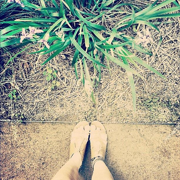 Feet Photograph - My Path Is Divided. #fromwhereistand by Allison Faulkner