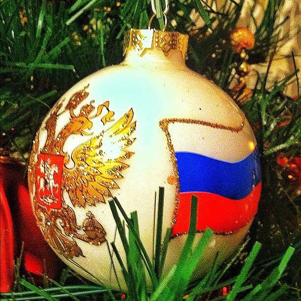 My Patriotic New Year Toy Photograph by Marianna Garmash