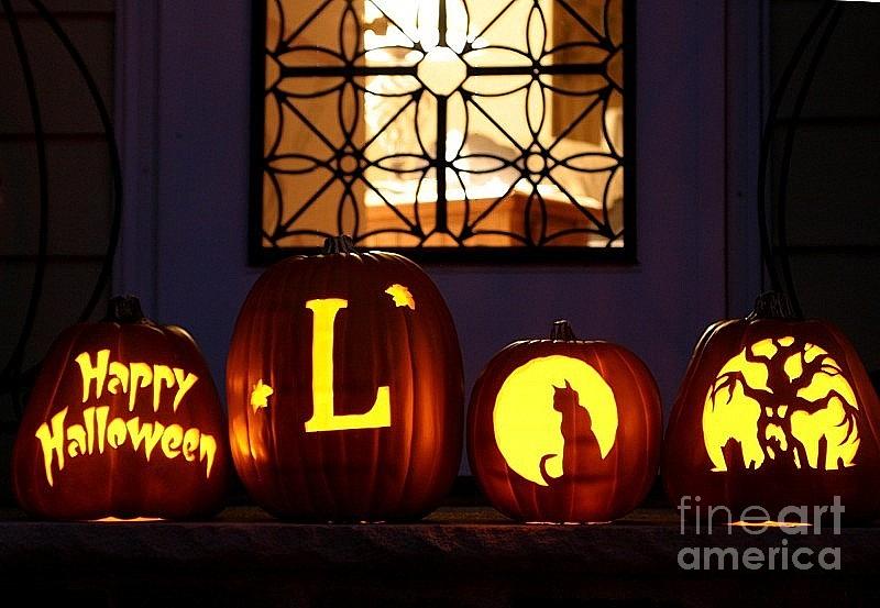My Pumpkins Photograph by Living Color Photography Lorraine Lynch