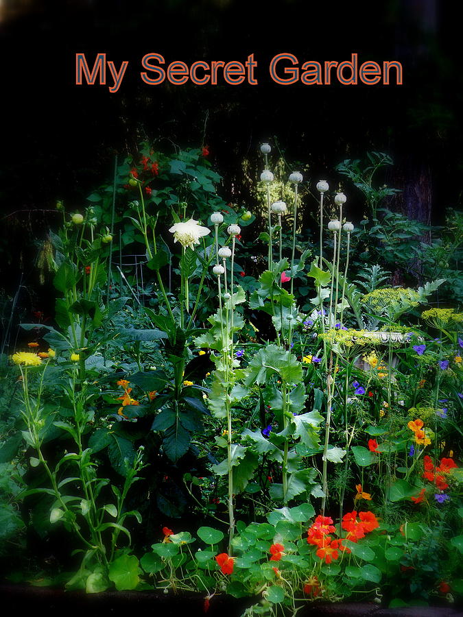 My Secret Garden Photograph by Tatyana Searcy
