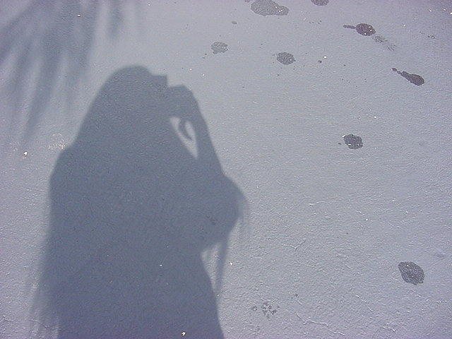 My Shadow Photograph by Val Oconnor