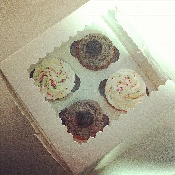 Cupcakes Photograph - My Sister @rulalula Made #cupcakes For by Dorcas Pang