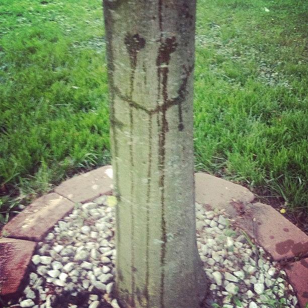 Tree Photograph - My Son Made A crying Smile With His by Ke-Ke Sayers