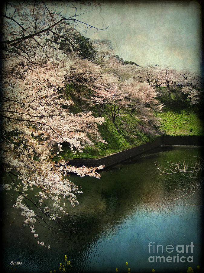 My Spring Photograph by Eena Bo
