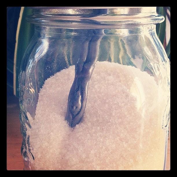 My Sugar Spoon. #thingsthatmakemehappy Photograph by Deirdre Mars