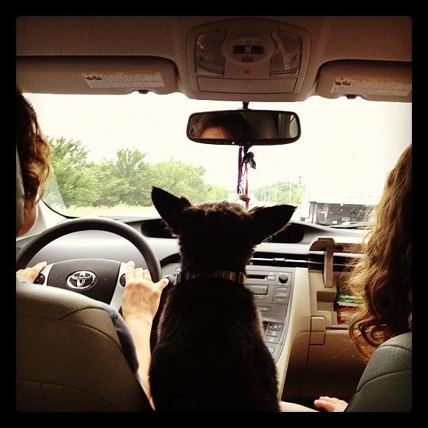My View From The Backseat. Im Not Photograph by Jeff Madlock