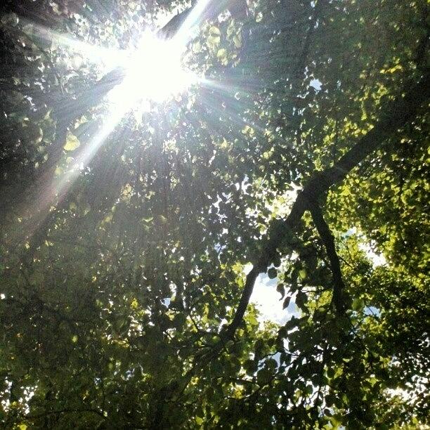 Provo Photograph - My View From Under The Tree. Damn You by Becca Watters