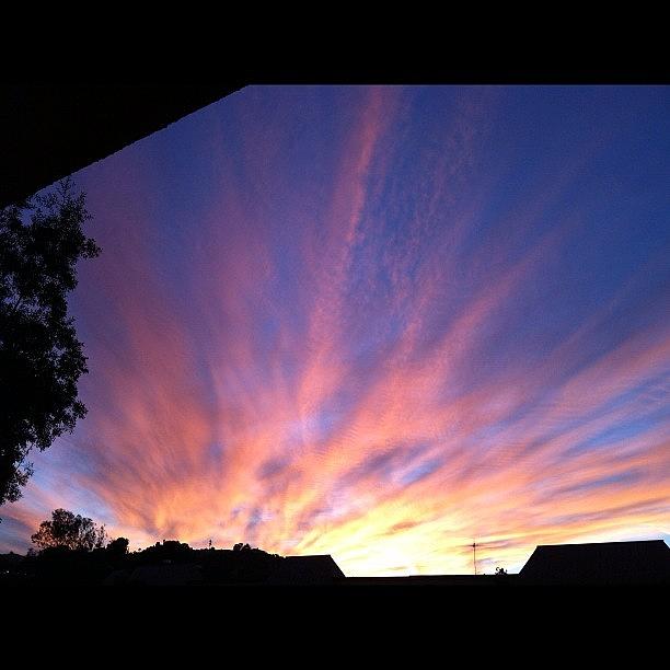 Sunset Photograph - My View by Rose Champagne