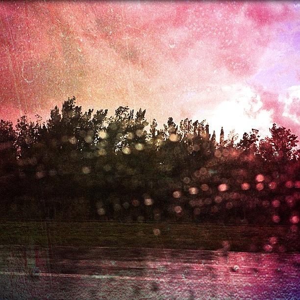 Tree Photograph - #myphotography #rain #raindrops #water by Danny Alvarado