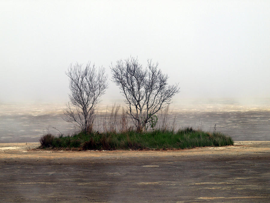 Fog Photograph - Mystery Island by Kim Schmidt Fog Photograph - Mystery Island by Kim Schmidt