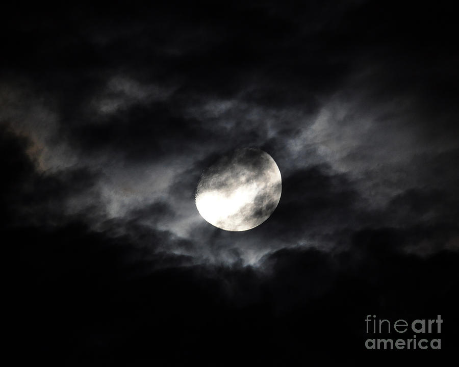 Mystic Moon Photograph by Al Powell Photography USA