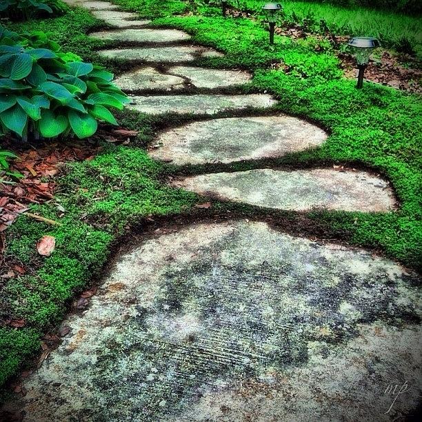 Vintage Photograph - Mystic Path by Maury Page