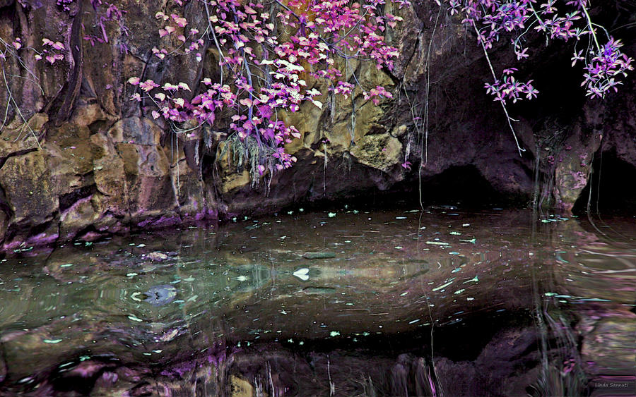 Nature Photograph - Mystical Pond by Linda Sannuti