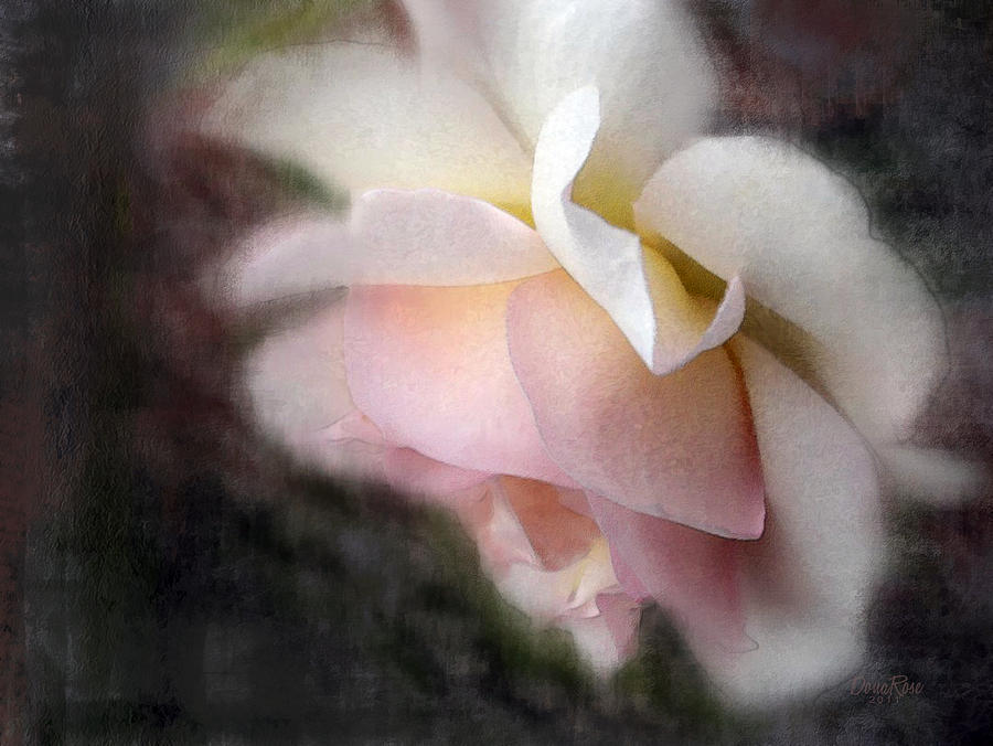 Mystical Rose Digital Art by   DonaRose