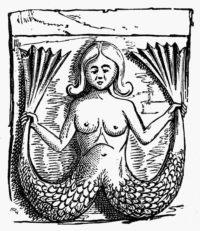 Mythology: Mermaid Photograph by Granger
