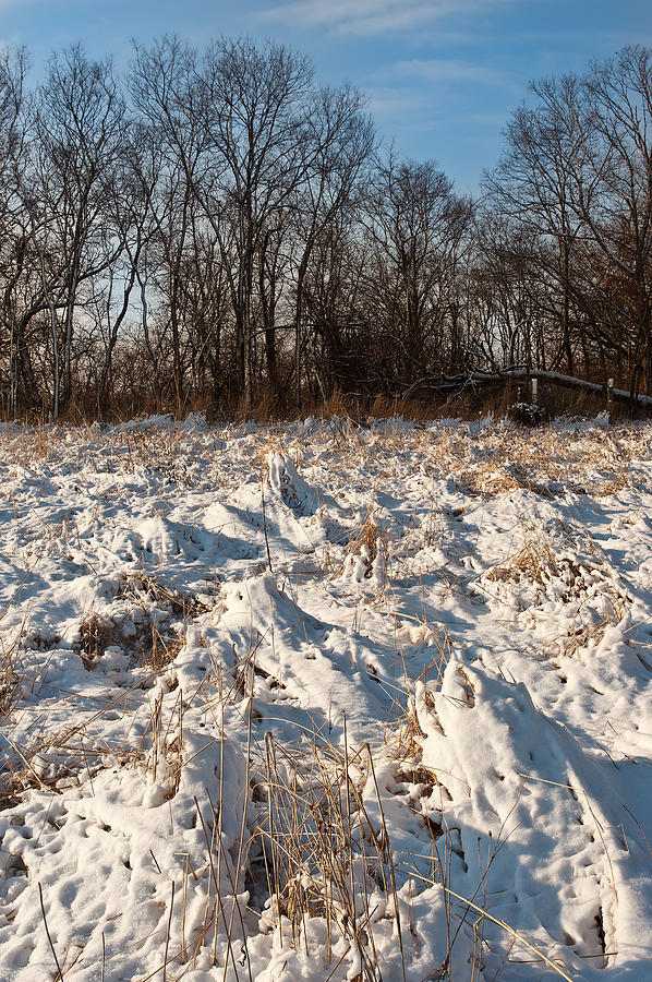 Nature Photograph - Nachusa Grasslands Winter by Steve Gadomski
