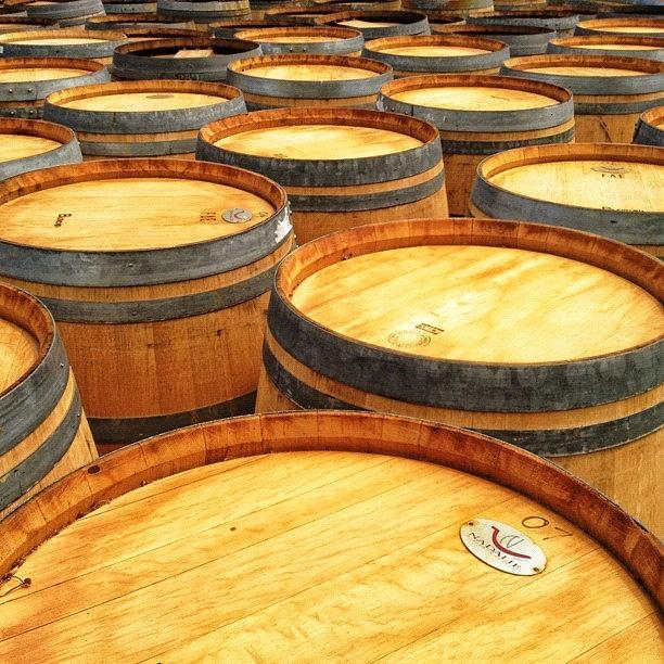 Calistoga Photograph - Nadalie Wine Barrels Ready To Become by Peter Stetson
