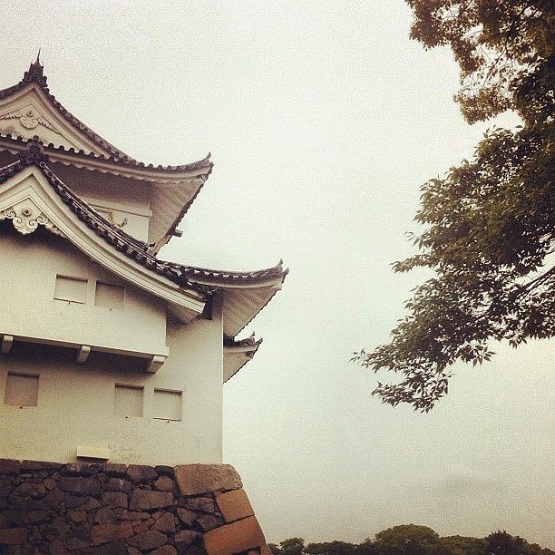 Castle Photograph - Nagoya Castle Grounds by Cassie OToole