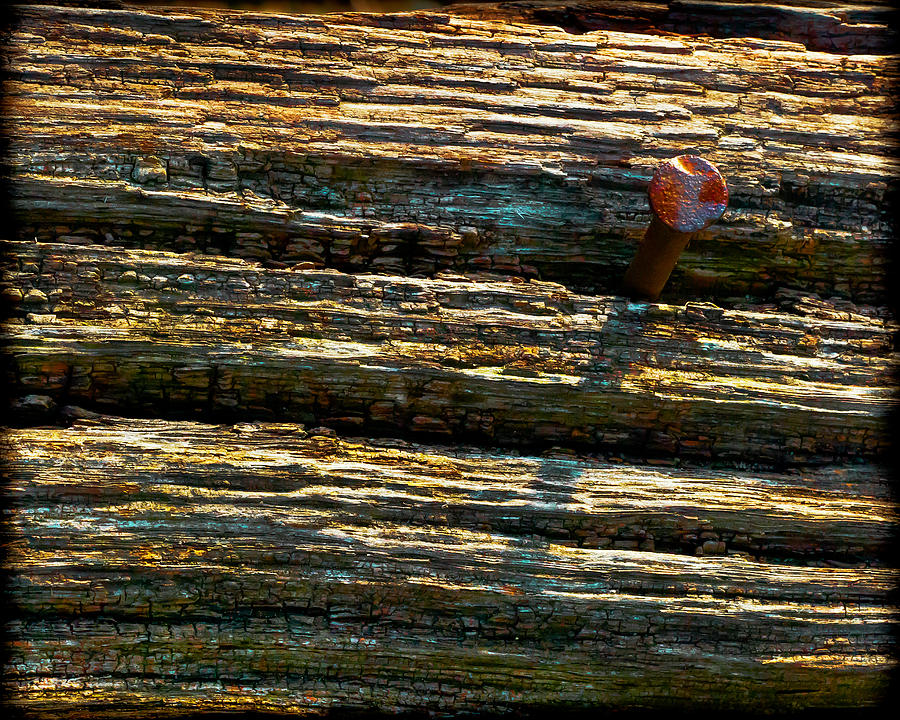 Nail Photograph - Nail In Wood by Randall Bass