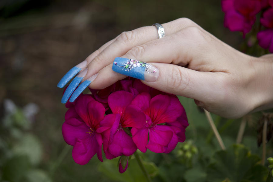 Nails and Geranium Photograph by Donna L Munro
