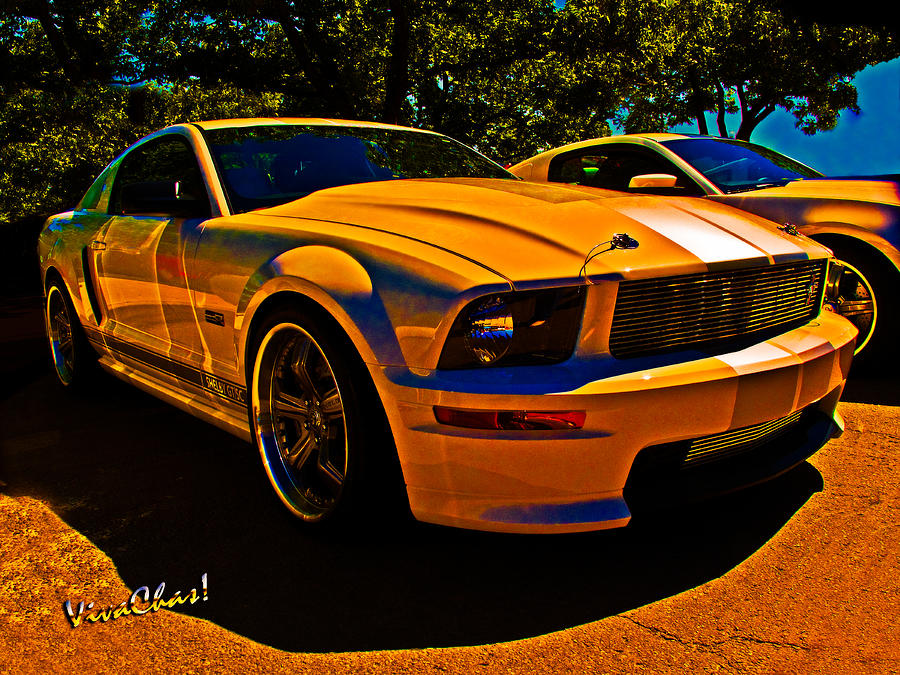 Named My Mustang Shelby Photograph by Chas Sinklier