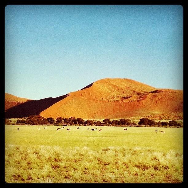 Namib Desert Photograph by Francesca Sara