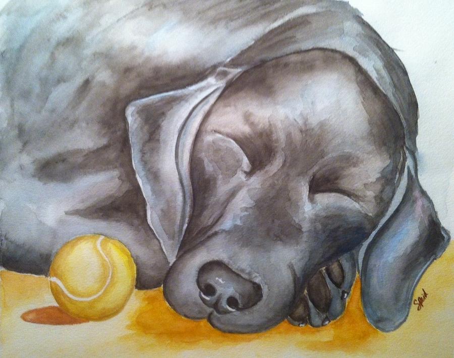 Dog Sleeping Painting - Nap Time by Stephanie Reid